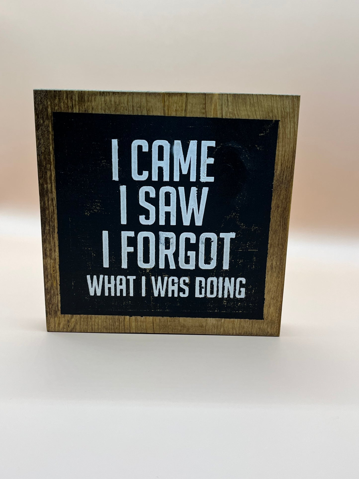 I came I saw I forgot