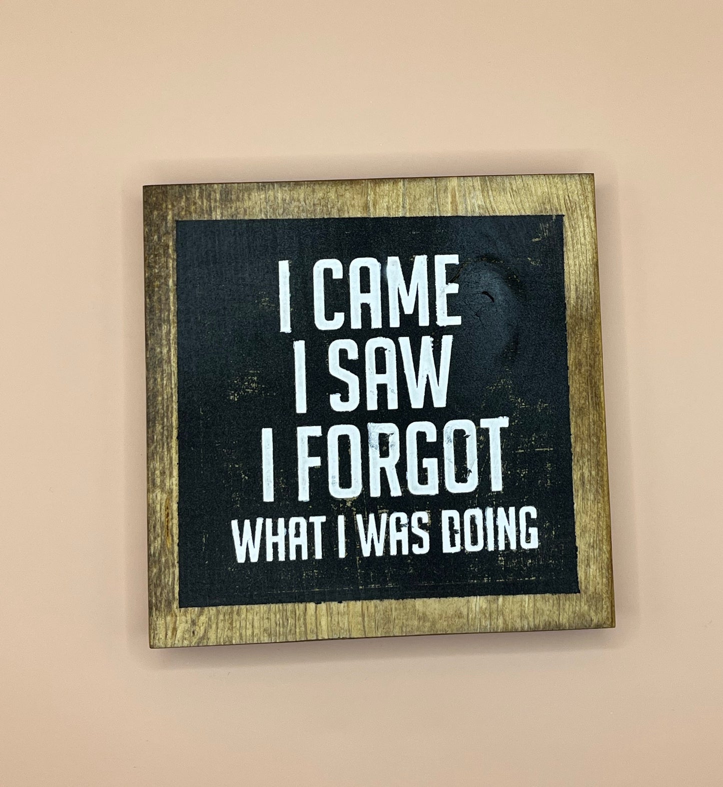 I came I saw I forgot